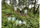 Hang Seng‧CA Country Park Plantation Enrichment Programme 1