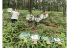 恒生•長春社植林優化計劃2022 植樹日 Hang Seng x CA Plantation Enrichment Programme 2022