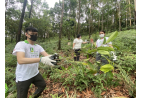 Hang Seng‧CA Country Park Plantation Enrichment Programme 7
