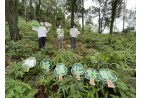 Hang Seng‧CA Country Park Plantation Enrichment Programme 2