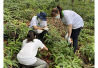Hang Seng‧CA Country Park Plantation Enrichment Programme 5